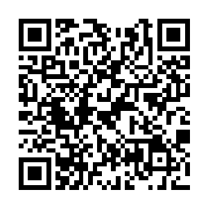 而且修罗的没一击都给他们的身上带着无数的痛处二维码生成