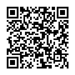 而且偏头的样子怎么看怎么都像是口是心非的模样二维码生成