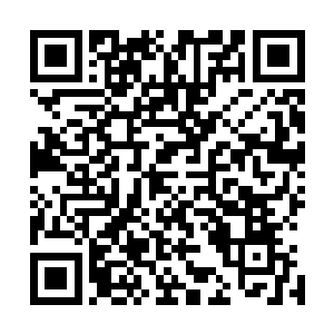 而且其作用就不止是增加卖队友者的惊吓值基线那么简单了二维码生成