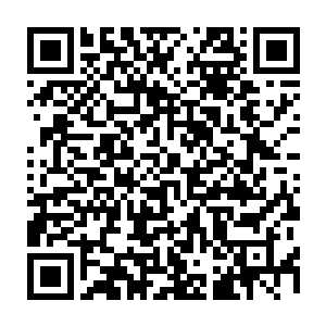 而且刘力宏等人那像金鱼眼一样暴凸出来的眼珠子在夕阳下也显得格外的耀眼二维码生成