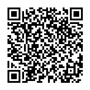 而且叶枫当年也没优秀到连他这个地位的人都觉得格外在乎的地步二维码生成