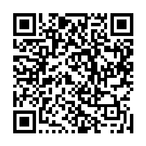 而且周媚儿还得到了一只可以成长到九重天境界的妖兽宠物二维码生成