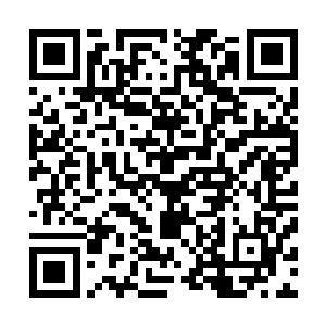 而且品质也绝对比普通的药田上出产的药材的品质要高的多二维码生成