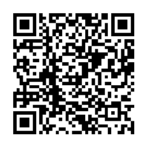 而且因为杨开是分批次将他们从道场带出来的缘故二维码生成