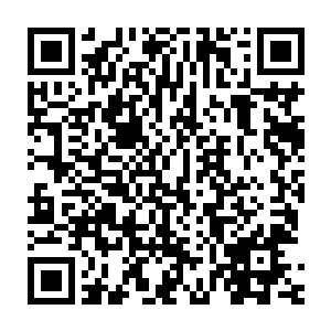 而且在秘密研究所四周还安装有结构十分精密的连环晶石炸弹群落二维码生成