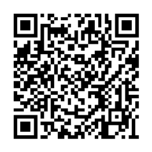 而且在这个位置上还有马丁・彼得罗夫可以轮换二维码生成