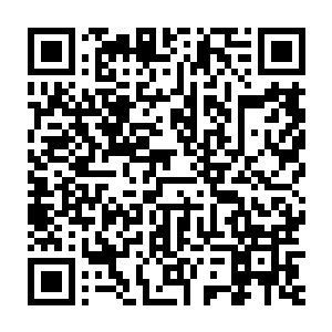 而且在这开阔的沙漠中……尸虎那些被切开后的身体碎片之间毫无阻隔二维码生成