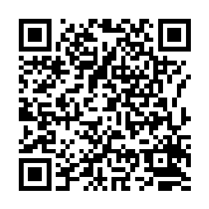 而且夏天现在也有信心可以和小8那个级别的高手正面碰撞了二维码生成
