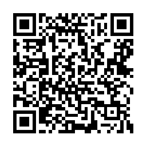 而且夏琪对能记忆定格画面的画家们十分的敬仰二维码生成