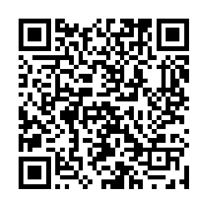 而且大量能量转化设备的建设已经让赵虎不再缺乏能量二维码生成