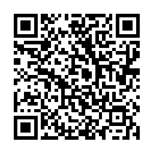 而且她也没有想到在体内世界修炼的后果会如此严重二维码生成