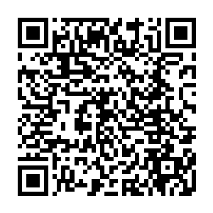 而且她也绝对不会承认她现在一直在看着雨果那微微泛红的脸颊想入非非的二维码生成