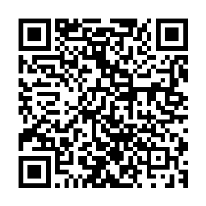 而且她们立刻推选帮里修为最高的许虎妞成为了梅花帮的帮主二维码生成