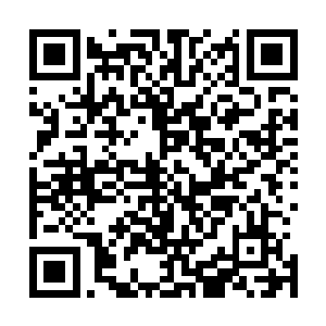 而且她就是那种以其目前的表演才华撑不起一部电影的演员二维码生成