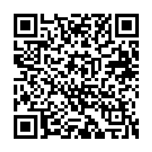 而且如今的家族已经不是原来的十二支守护嫡系二维码生成