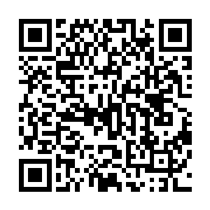 而且对方拿出来的什么魂族荣耀应该是一件十分稀少的法宝二维码生成