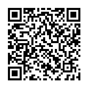 而且就算天尊后期巅峰大修士在我师父的面前也赚不到便宜二维码生成