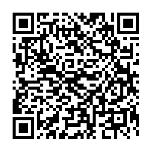 而且开始不停的在脑海里想着该采用什么样的方式把这条鱼放到舱里二维码生成