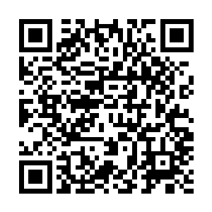 而且当时两人还有点儿情动――忽略了敲门声也是很正常的二维码生成