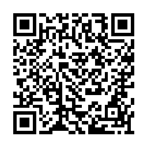 而且我现在的血肉都可以增加普通修炼者的寿命二维码生成