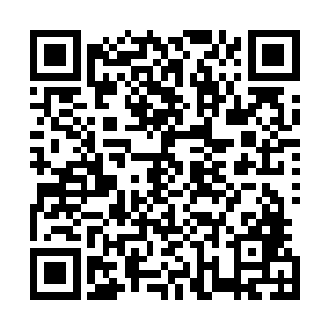 而且我看到了每个房间都放有黑色皮箱应该就是他们的武器二维码生成