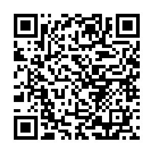 而且打死他也不会相信许紫烟等人还会有九品的符箓二维码生成