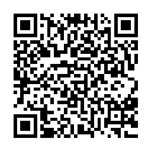 而且把张东城这个现在在全世界都说的上是赤手可热的大导演二维码生成