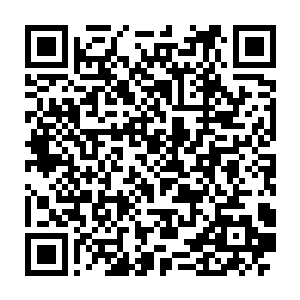 而且据说院长也答应了这个白芷璃可以随时的键入到不归塔里面修炼二维码生成