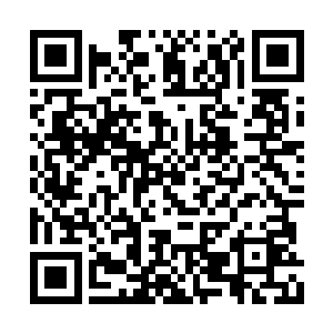 而且无论是作战经验还是其他方面他都无懈可击二维码生成