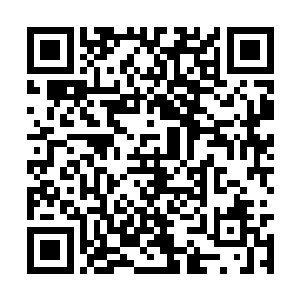而且更为难得的是这一次收集资料和数据都很顺利二维码生成