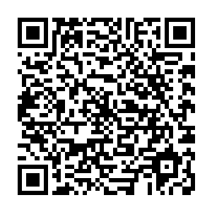 而且最重要地是他实在不想自家主公参与到曹魏与北方那尊鬼神的战争之中二维码生成