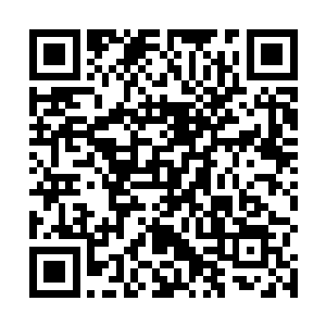 而且根据情报修武界已经向我们华夏发布了最后的战书二维码生成