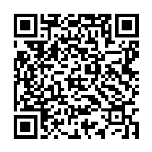 而且格罗廖夫都明确承认他和叶莲娜的恋人关系了二维码生成