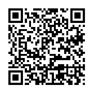 而且现在夏天的感悟不足以支持他的境界再次提升二维码生成