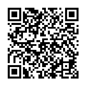 而且由于藤蔓上还有着一层对于他们足有巴掌厚的细细绒毛二维码生成