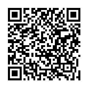 而且许紫烟等人此时发现他们已经完全失去了行动的能力二维码生成