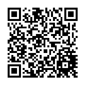 而且说实话人族离着死亡北海太远也不可能将手伸的那么长二维码生成