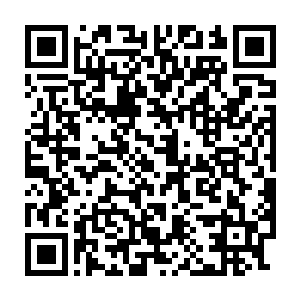 而且财政收入的增长也使得蓝岛在基础设施建设上的投入力度很大二维码生成