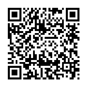 而且购买的时候许紫烟还蹲在那里和摊主讲了一刻钟的价二维码生成
