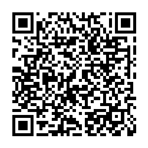 而且还是被木系所克的雷系力量拥有者居然也敢主动朝他们这些不朽发起冲击二维码生成