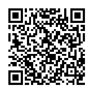 而且还给人一种不使用任何力量就可以飞的感觉二维码生成