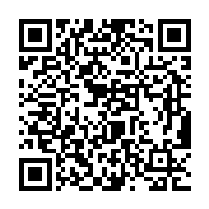 而且还能一口指出是龙族最尊贵的皇族――黄金神龙二维码生成