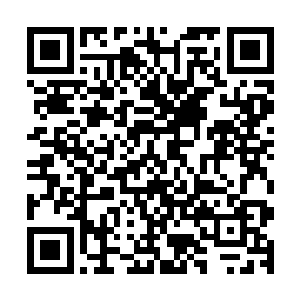 而且还领悟了死在这里的虚王境强者生前掌握的某一种神魂技二维码生成