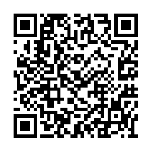 而且这些人的实力比一般小门派修者又强大许多二维码生成