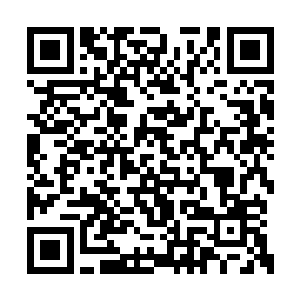 而且这望龙木表面雕刻的图案也不是普通的图案二维码生成