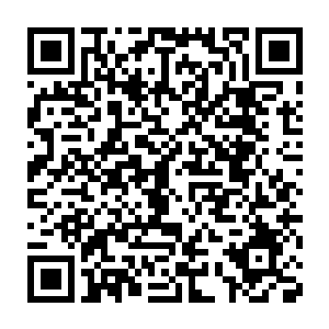 而且这激荡而出的血浪也在这熊熊金焰所带来的惊人高温下迅速蒸发二维码生成