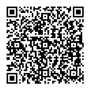 而且那些小孩子还说了每一次这个黑衣男子来了之后这里的鬼便会被他挑选一批然后用阴车带走二维码生成