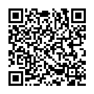 而且那画后面的女嘉宾准备的也肯定是不同的问题二维码生成