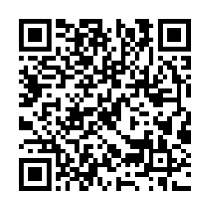 而且非常严重地占用了他跟小红包的两人世界时间二维码生成