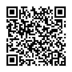 而世界上其他地方的猴妖种族却享受不到这个效果二维码生成